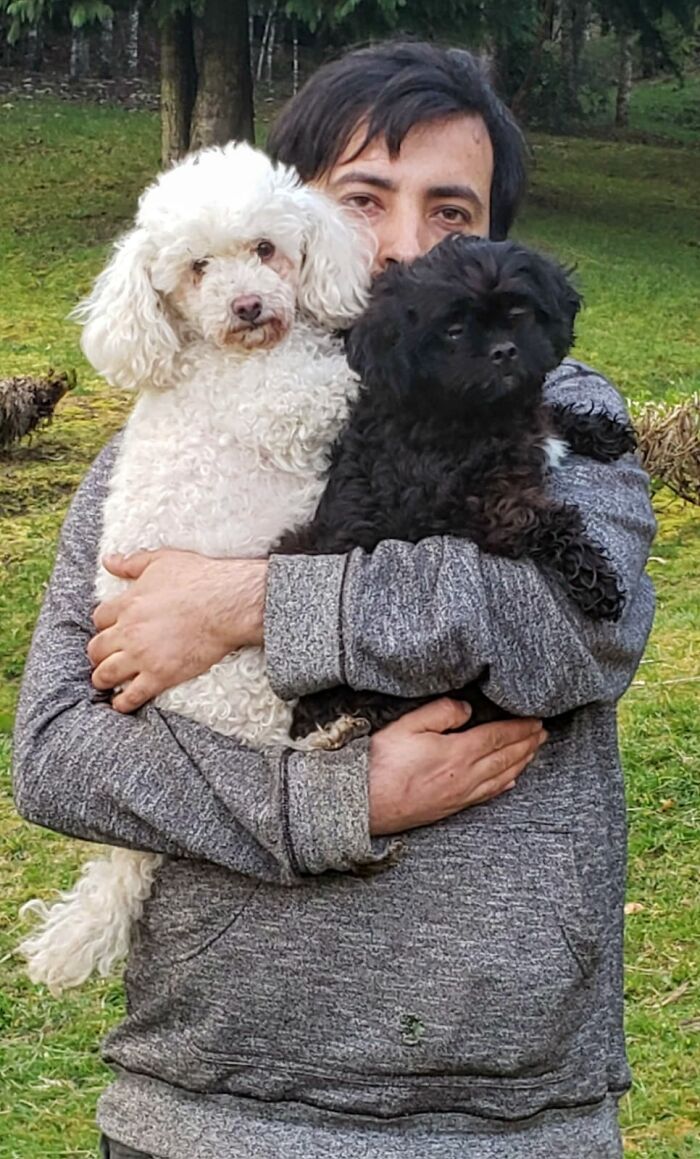 A Couple And Their 31 Four-Legged Family Members Found A Home After Their Video Asking For Help Went Viral A Couple And Their 31 Four-Legged Family Members Found A Home After Their Video Asking For Help Went Viral