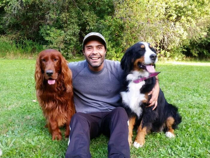 A Couple And Their 31 Four-Legged Family Members Found A Home After Their Video Asking For Help Went Viral A Couple And Their 31 Four-Legged Family Members Found A Home After Their Video Asking For Help Went Viral