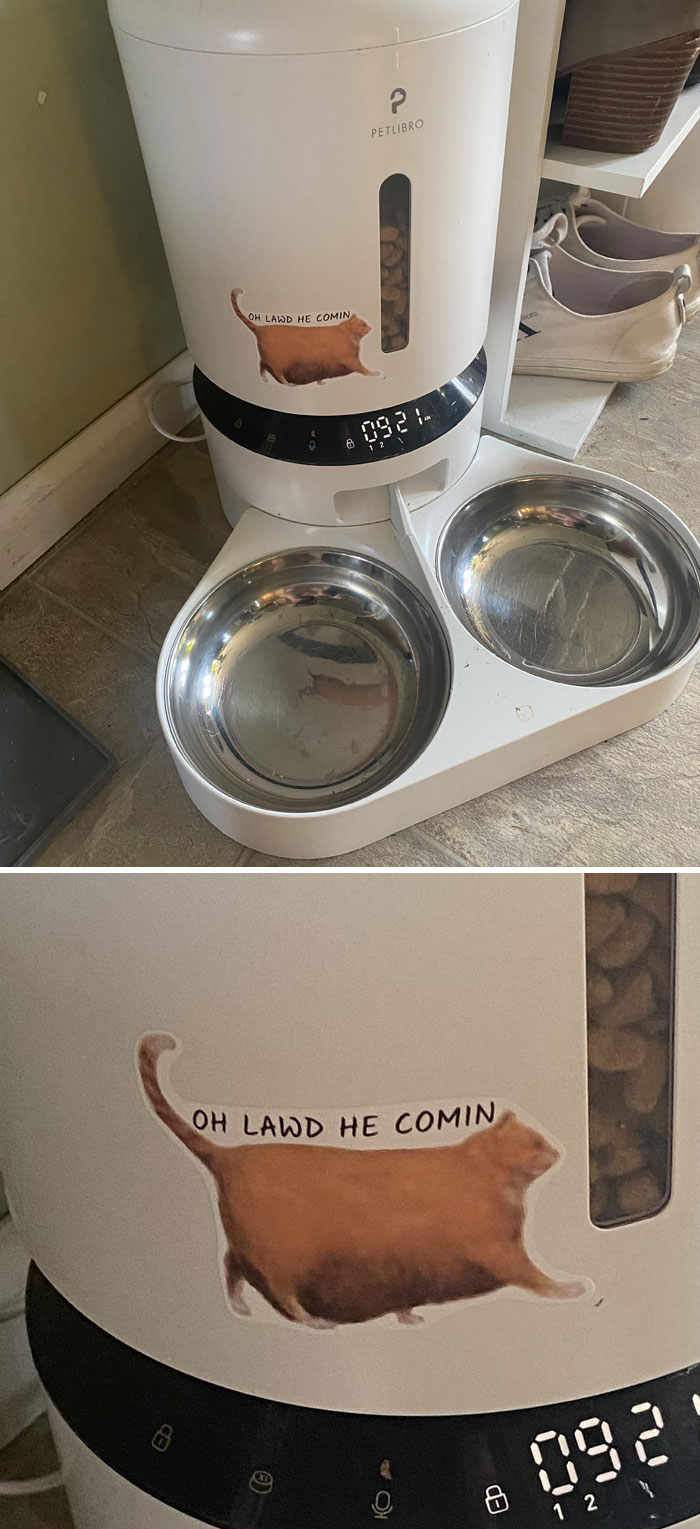 50 Hilarious Girlfriends And Wives Who Never Fail To Make Their Partners Laugh (New Pics) 50 Hilarious Girlfriends And Wives Who Never Fail To Make Their Partners Laugh (New Pics)