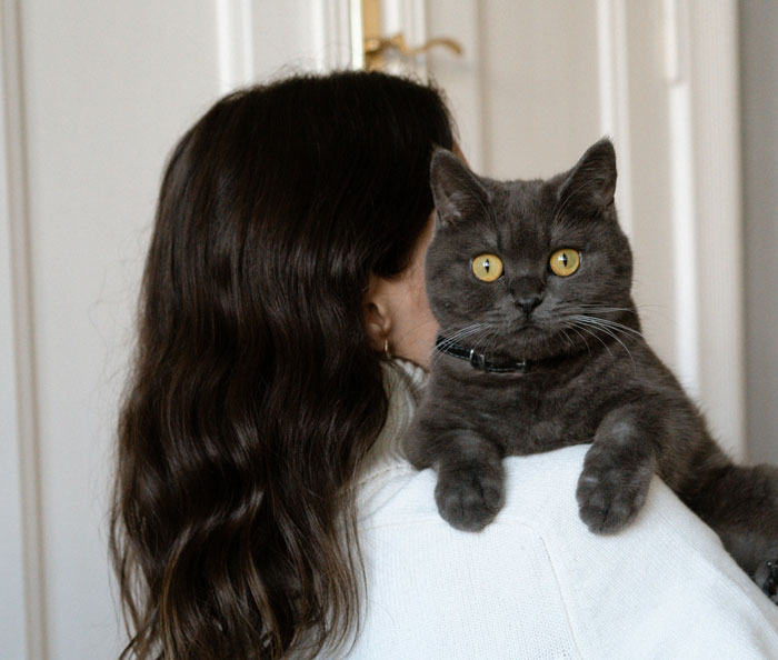 Man Disappoints Wife By Suggesting She Move Out To Avoid Moving His Senior Cat She’s Allergic To Man Disappoints Wife By Suggesting She Move Out To Avoid Moving His Senior Cat She’s Allergic To