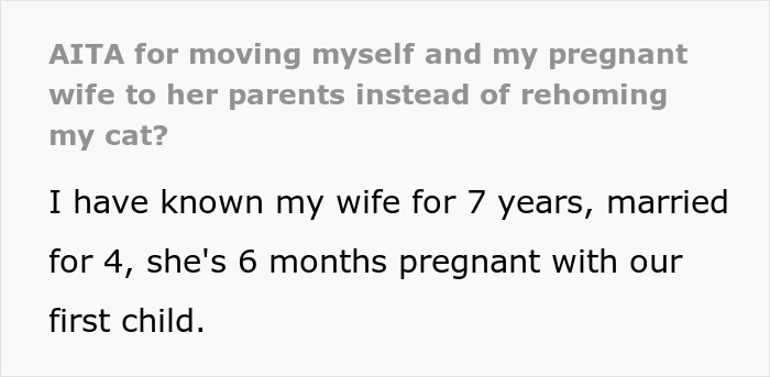 Man Disappoints Wife By Suggesting She Move Out To Avoid Moving His Senior Cat She’s Allergic To Man Disappoints Wife By Suggesting She Move Out To Avoid Moving His Senior Cat She’s Allergic To