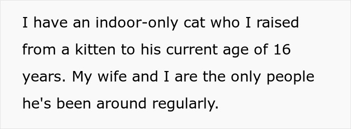 Man Disappoints Wife By Suggesting She Move Out To Avoid Moving His Senior Cat She’s Allergic To Man Disappoints Wife By Suggesting She Move Out To Avoid Moving His Senior Cat She’s Allergic To