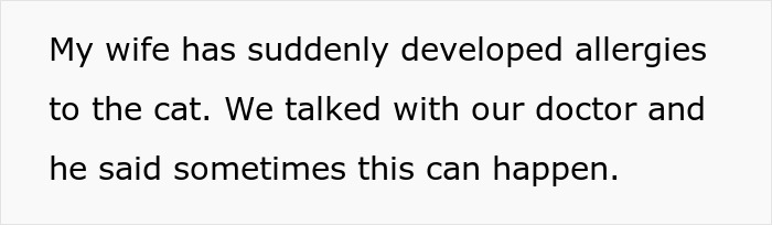 Man Disappoints Wife By Suggesting She Move Out To Avoid Moving His Senior Cat She’s Allergic To Man Disappoints Wife By Suggesting She Move Out To Avoid Moving His Senior Cat She’s Allergic To