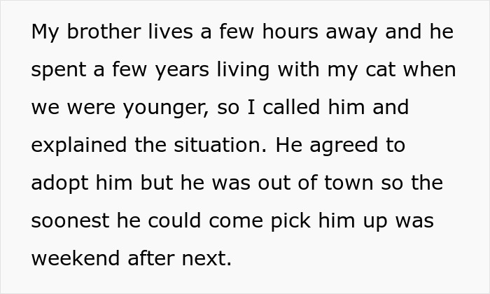 Man Disappoints Wife By Suggesting She Move Out To Avoid Moving His Senior Cat She’s Allergic To Man Disappoints Wife By Suggesting She Move Out To Avoid Moving His Senior Cat She’s Allergic To