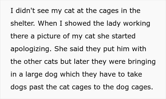 Man Disappoints Wife By Suggesting She Move Out To Avoid Moving His Senior Cat She’s Allergic To Man Disappoints Wife By Suggesting She Move Out To Avoid Moving His Senior Cat She’s Allergic To