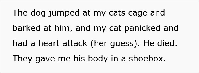 Man Disappoints Wife By Suggesting She Move Out To Avoid Moving His Senior Cat She’s Allergic To Man Disappoints Wife By Suggesting She Move Out To Avoid Moving His Senior Cat She’s Allergic To