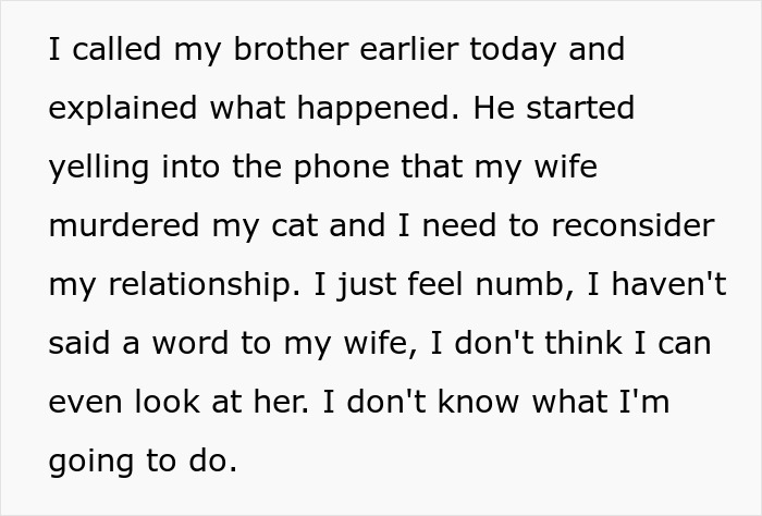 Man Disappoints Wife By Suggesting She Move Out To Avoid Moving His Senior Cat She’s Allergic To Man Disappoints Wife By Suggesting She Move Out To Avoid Moving His Senior Cat She’s Allergic To