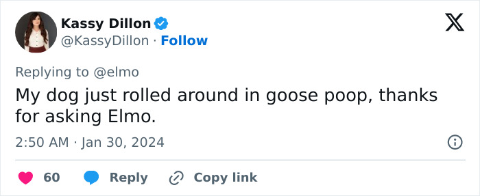 Elmo Probably Regrets Asking “How’s Everybody Doing?” After Getting These 28 Answers Elmo Probably Regrets Asking “How’s Everybody Doing?” After Getting These 28 Answers