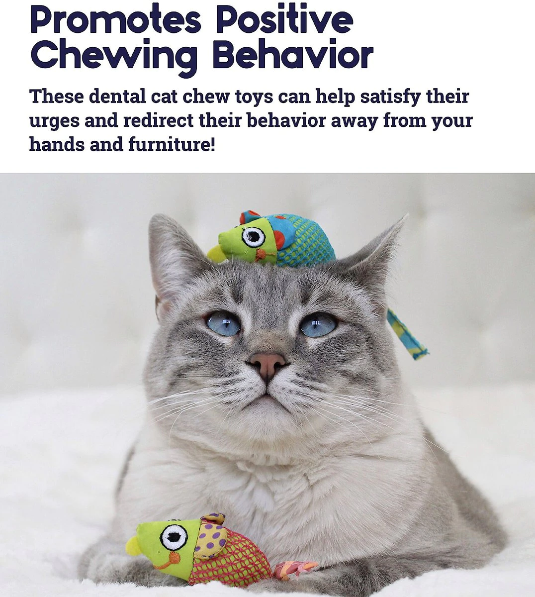 Top 10 Best Cat Chew Toys for Happy, Healthy Kitties Top 10 Best Cat Chew Toys for Happy, Healthy Kitties