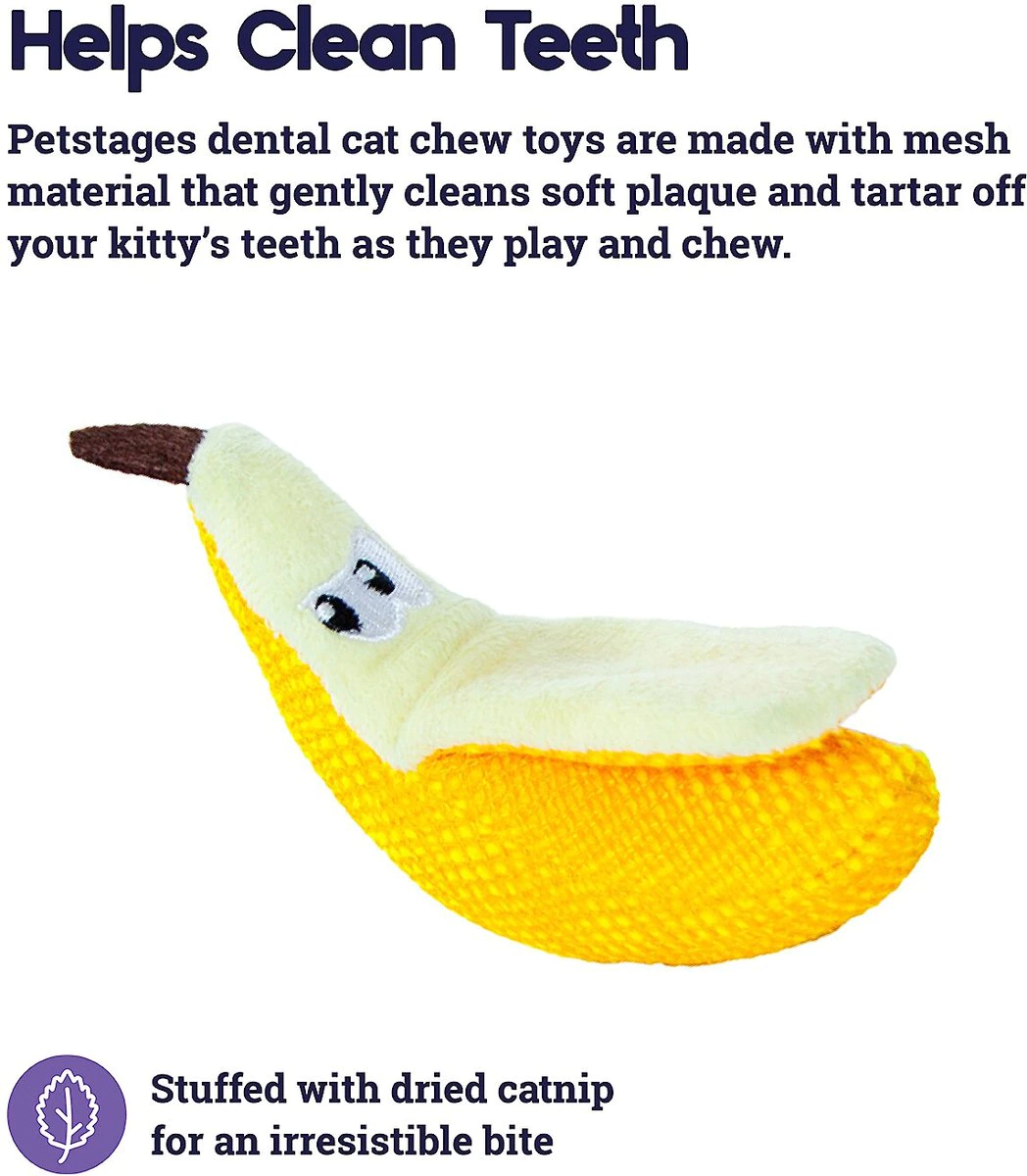 Top 10 Best Cat Chew Toys for Happy, Healthy Kitties Top 10 Best Cat Chew Toys for Happy, Healthy Kitties