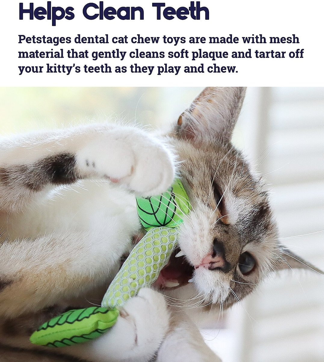 Top 10 Best Cat Chew Toys for Happy, Healthy Kitties Top 10 Best Cat Chew Toys for Happy, Healthy Kitties