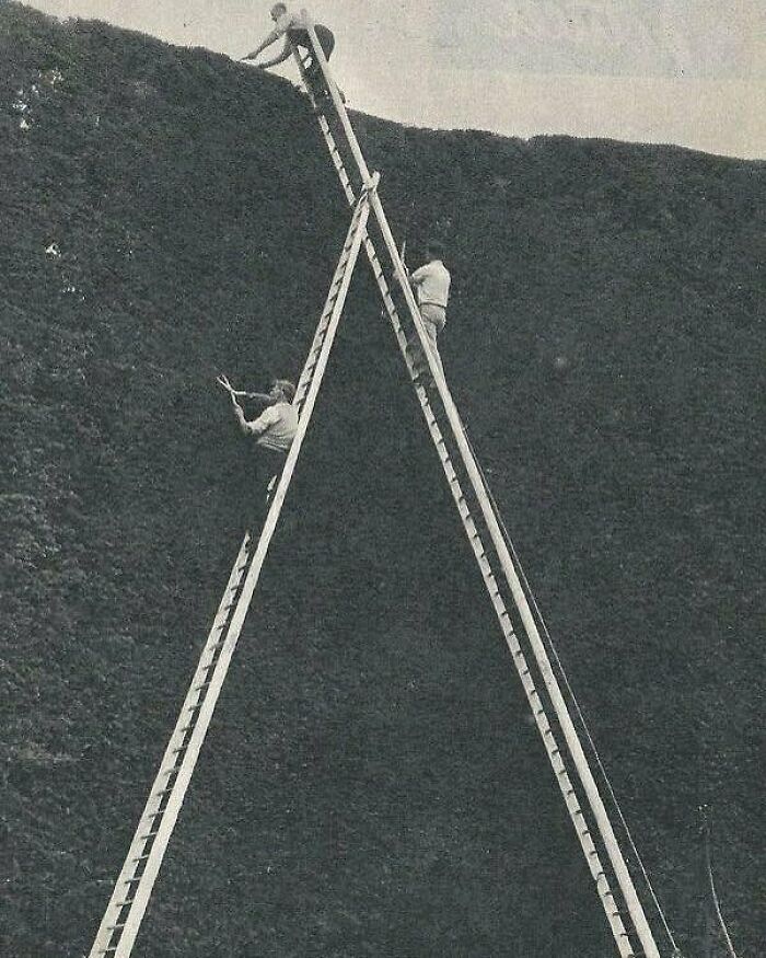 50 Times “Idiots At Work” Showed Just How Stupid Humans Can Be 50 Times “Idiots At Work” Showed Just How Stupid Humans Can Be