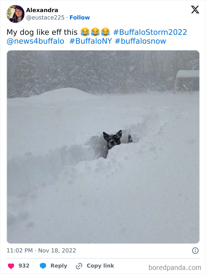 50 Fascinating And Terrifying Pics Of The Power Of Winter (New Pics) 50 Fascinating And Terrifying Pics Of The Power Of Winter (New Pics)