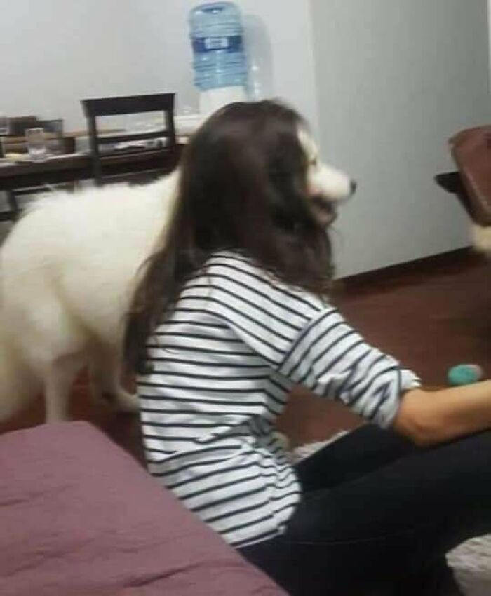 40 Cursed Pics To Make Your Day 100% Weirder, As Shared On This IG Page 40 Cursed Pics To Make Your Day 100% Weirder, As Shared On This IG Page