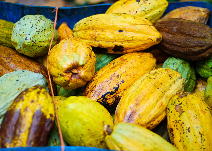 “WWIII May Be Closer Than We Realize”: 50 Dark World News People Should Know