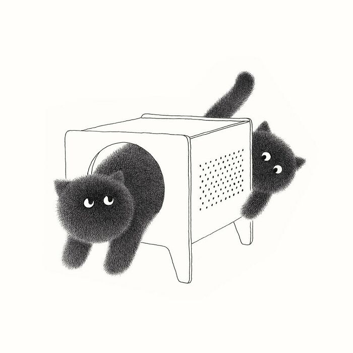 70 New Illustrations By Kamwei Fong Featuring Fluffy And Grumpy Cats 70 New Illustrations By Kamwei Fong Featuring Fluffy And Grumpy Cats