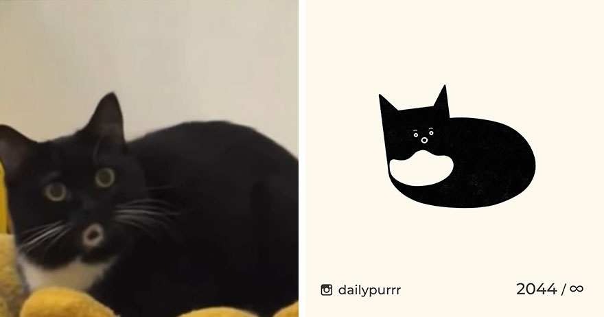 35 New “Daily Purrr” Illustrations Featuring The Funniest Internet-Famous Cats 35 New “Daily Purrr” Illustrations Featuring The Funniest Internet-Famous Cats
