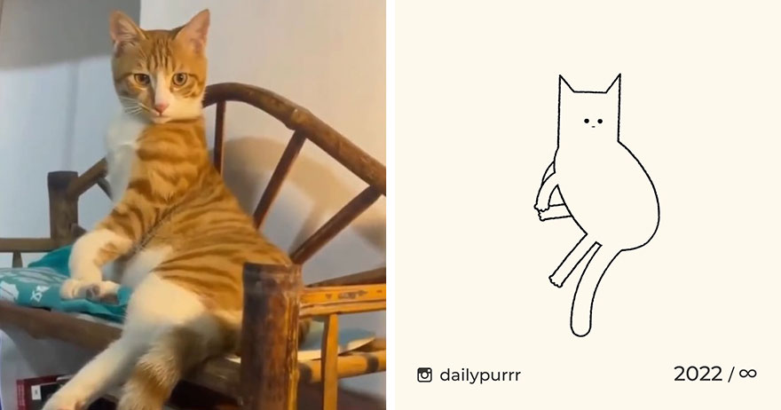 35 New “Daily Purrr” Illustrations Featuring The Funniest Internet-Famous Cats 35 New “Daily Purrr” Illustrations Featuring The Funniest Internet-Famous Cats
