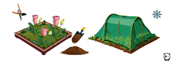 Roses In Disguise: How To Grow And Care For Lisianthus