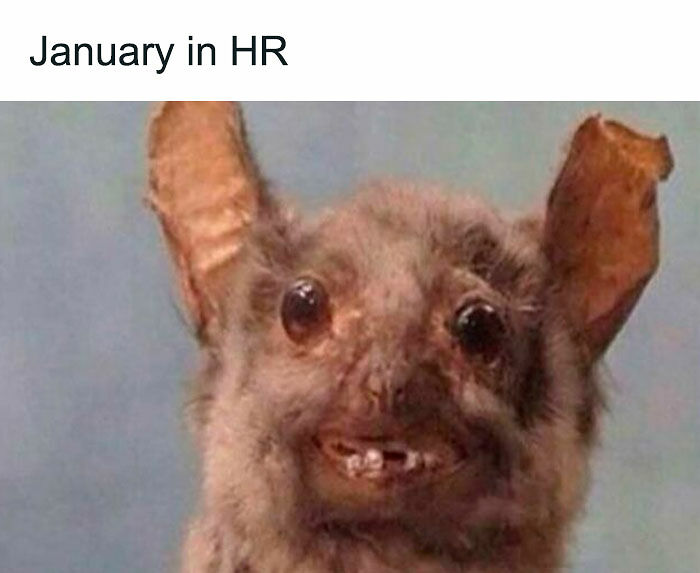 56 Memes That Sum Up The Chaos Of Working In Human Resources 56 Memes That Sum Up The Chaos Of Working In Human Resources