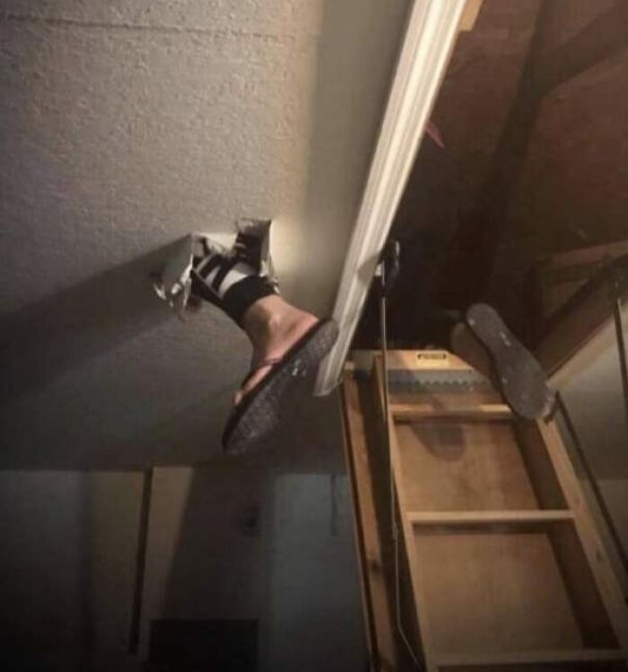 84 People With Zero Common Sense Who Made Everyone Else Wonder How They Survived This Long 84 People With Zero Common Sense Who Made Everyone Else Wonder How They Survived This Long