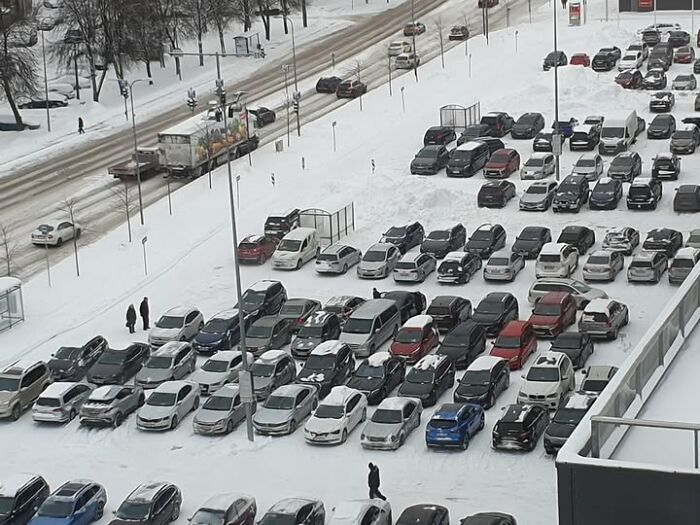 84 People With Zero Common Sense Who Made Everyone Else Wonder How They Survived This Long 84 People With Zero Common Sense Who Made Everyone Else Wonder How They Survived This Long