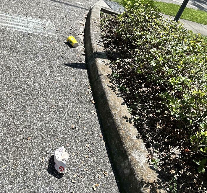 84 People With Zero Common Sense Who Made Everyone Else Wonder How They Survived This Long 84 People With Zero Common Sense Who Made Everyone Else Wonder How They Survived This Long