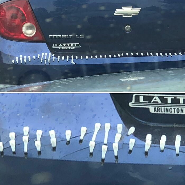 84 People With Zero Common Sense Who Made Everyone Else Wonder How They Survived This Long 84 People With Zero Common Sense Who Made Everyone Else Wonder How They Survived This Long