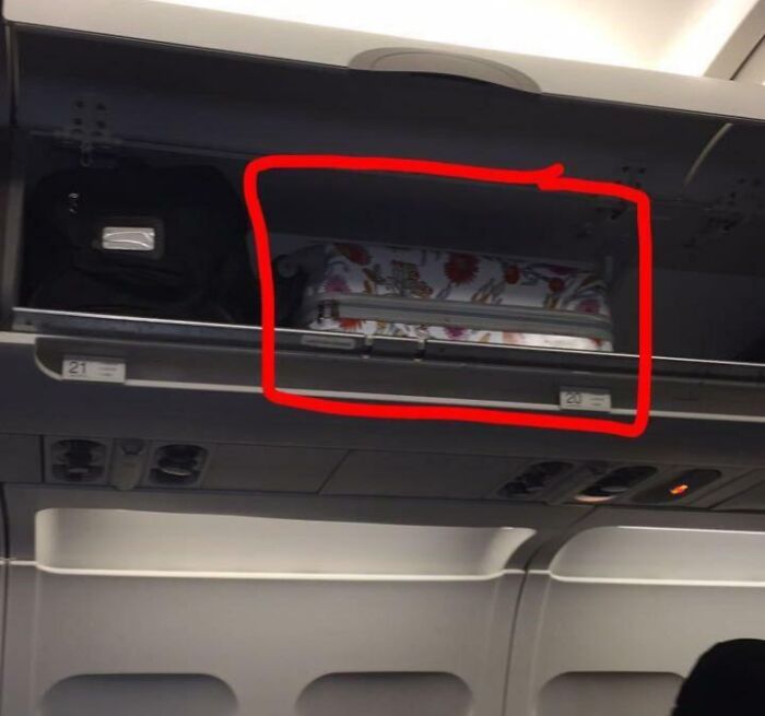 84 People With Zero Common Sense Who Made Everyone Else Wonder How They Survived This Long 84 People With Zero Common Sense Who Made Everyone Else Wonder How They Survived This Long