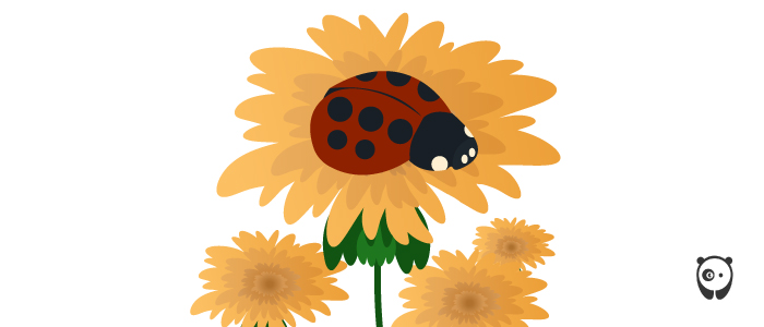 Asian Beetle vs Ladybug: Which Is Invasive? (And How To Get Rid Of It) Asian Beetle vs Ladybug: Which Is Invasive? (And How To Get Rid Of It)