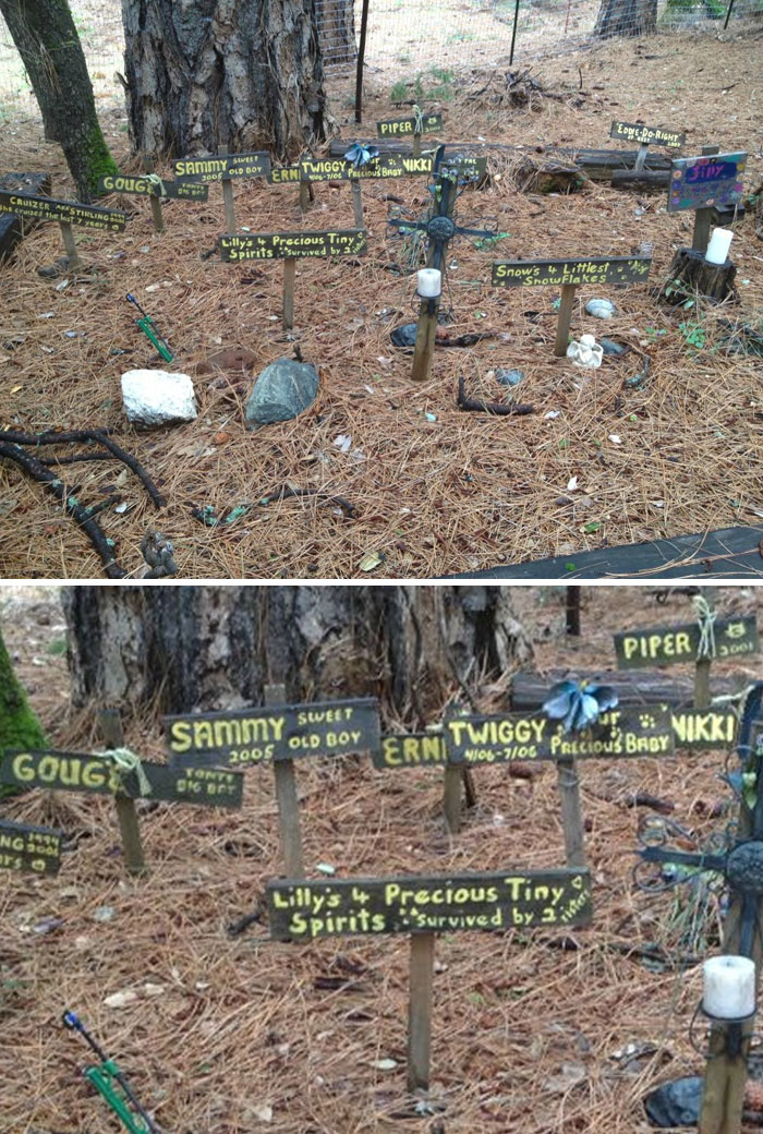 Eerie Things That People Found In Their New Homes And Just Had To Share Online (45 New Pics) Eerie Things That People Found In Their New Homes And Just Had To Share Online (45 New Pics)