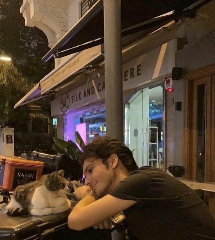 50 Pictures Of Pets Being Incredibly Silly To Make You Laugh 50 Pictures Of Pets Being Incredibly Silly To Make You Laugh