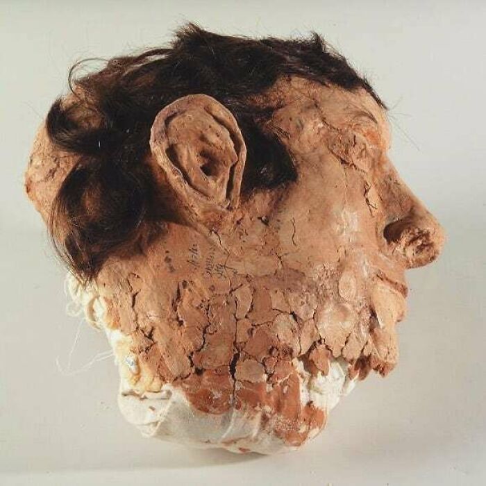 30 Pictures From ‘The Museum of Ridiculously Interesting Things’ 30 Pictures From ‘The Museum of Ridiculously Interesting Things’