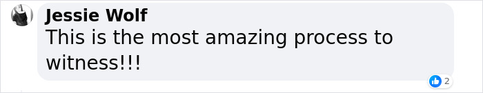 “Earplugs Will Be In Demand”: 2 Broods Of Cicada Will Emerge For The First Time In 221 Years “Earplugs Will Be In Demand”: 2 Broods Of Cicada Will Emerge For The First Time In 221 Years