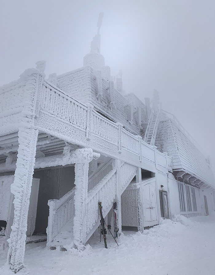 50 “Meanwhile, In Canada” Photos That Highlight Why This Country Is Like No Other (New Pics) 50 “Meanwhile, In Canada” Photos That Highlight Why This Country Is Like No Other (New Pics)