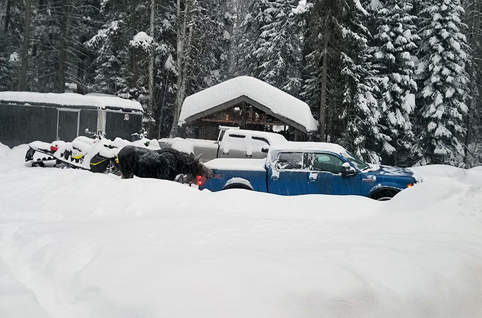 50 “Meanwhile, In Canada” Photos That Highlight Why This Country Is Like No Other (New Pics) 50 “Meanwhile, In Canada” Photos That Highlight Why This Country Is Like No Other (New Pics)