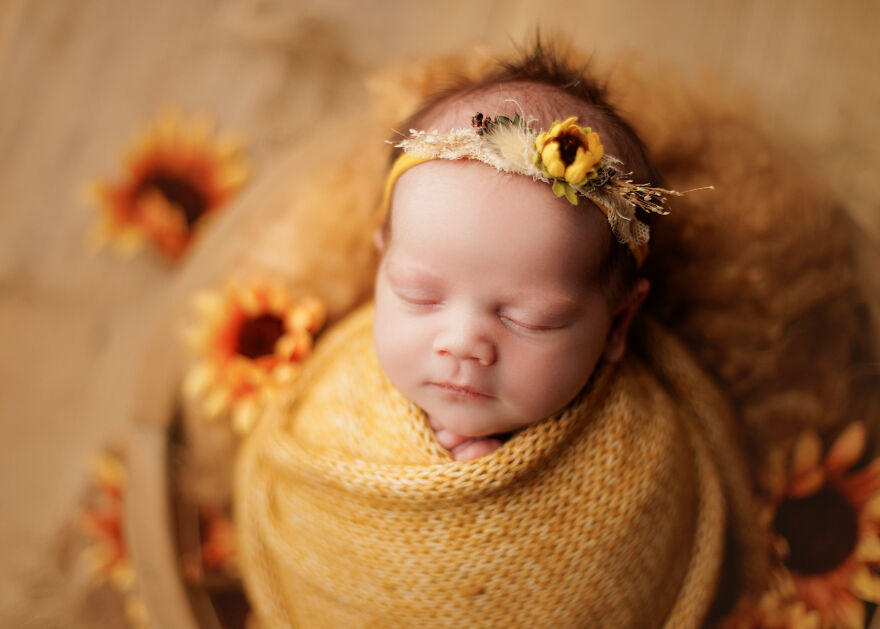 I’m A Chicago Newborn Photographer, And Here Are Some Recent Photos From 2024 I’m A Chicago Newborn Photographer, And Here Are Some Recent Photos From 2024