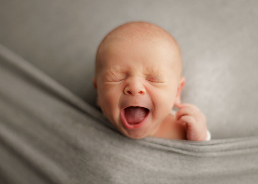 I’m A Chicago Newborn Photographer, And Here Are Some Recent Photos From 2024 I’m A Chicago Newborn Photographer, And Here Are Some Recent Photos From 2024