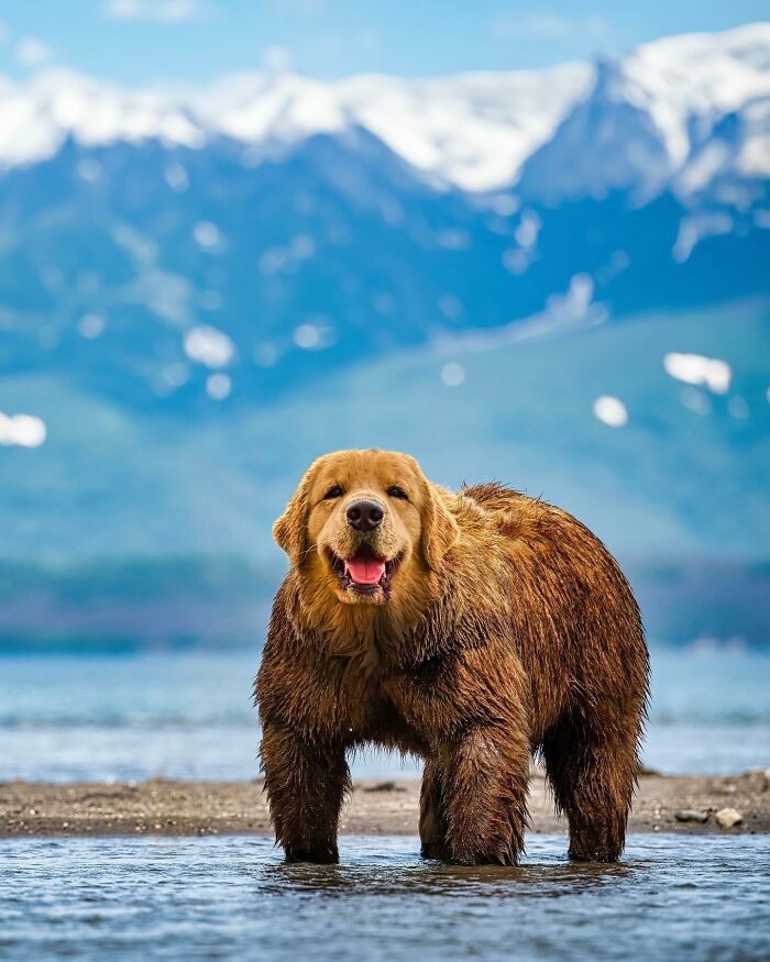 68 Imaginary Creatures That I Photoshopped By Fusing Two Existing Ones 68 Imaginary Creatures That I Photoshopped By Fusing Two Existing Ones