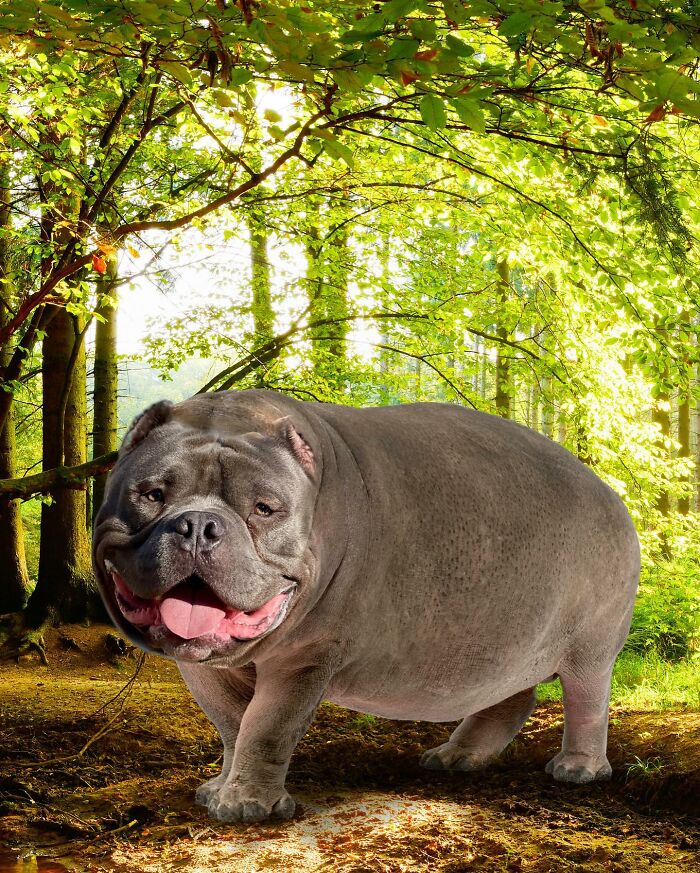 68 Imaginary Creatures That I Photoshopped By Fusing Two Existing Ones 68 Imaginary Creatures That I Photoshopped By Fusing Two Existing Ones