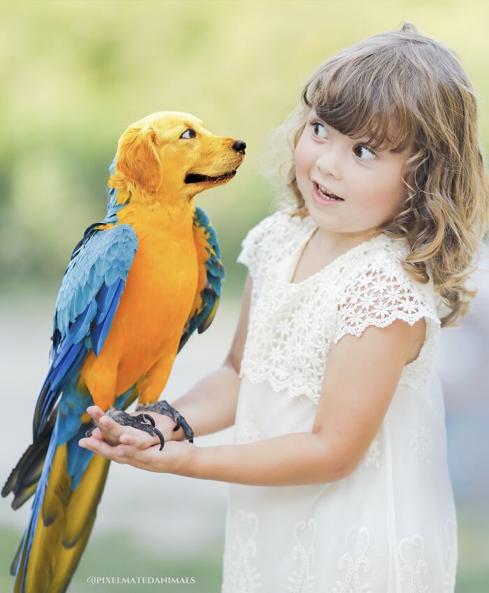 68 Imaginary Creatures That I Photoshopped By Fusing Two Existing Ones 68 Imaginary Creatures That I Photoshopped By Fusing Two Existing Ones