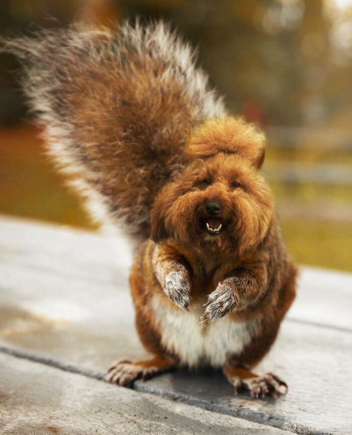 68 Imaginary Creatures That I Photoshopped By Fusing Two Existing Ones 68 Imaginary Creatures That I Photoshopped By Fusing Two Existing Ones