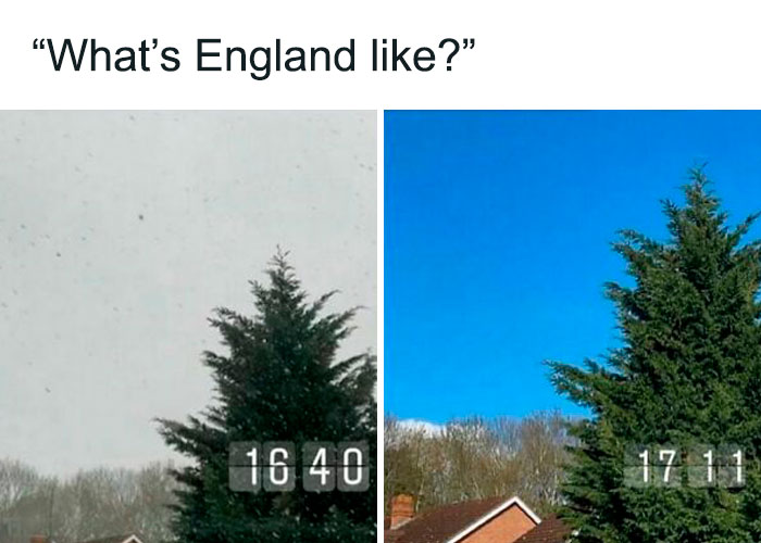 50 Memes That Display British Humor At Its Finest 50 Memes That Display British Humor At Its Finest