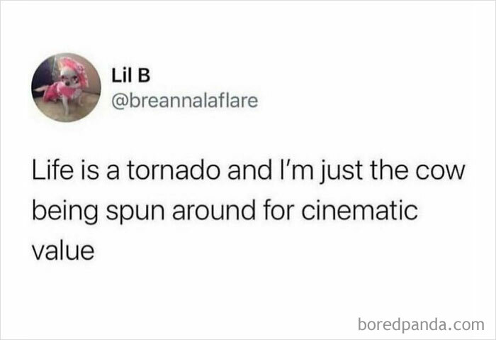 50 Memes You Might Find Painfully Relatable If You Could Use Some More Serotonin 50 Memes You Might Find Painfully Relatable If You Could Use Some More Serotonin