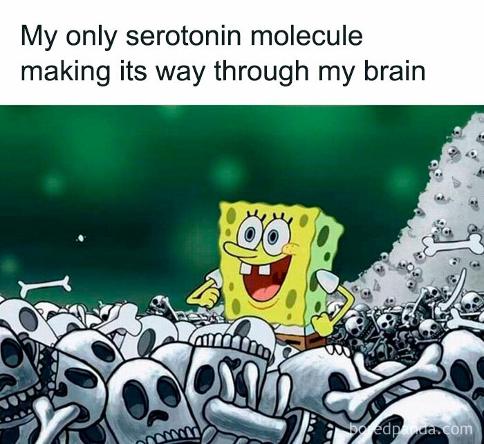 50 Memes You Might Find Painfully Relatable If You Could Use Some More Serotonin 50 Memes You Might Find Painfully Relatable If You Could Use Some More Serotonin