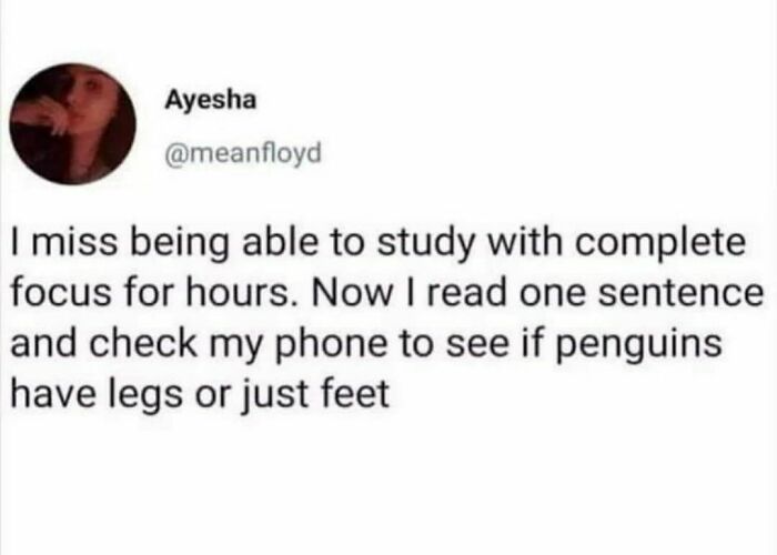 50 Memes You Might Find Painfully Relatable If You Could Use Some More Serotonin 50 Memes You Might Find Painfully Relatable If You Could Use Some More Serotonin