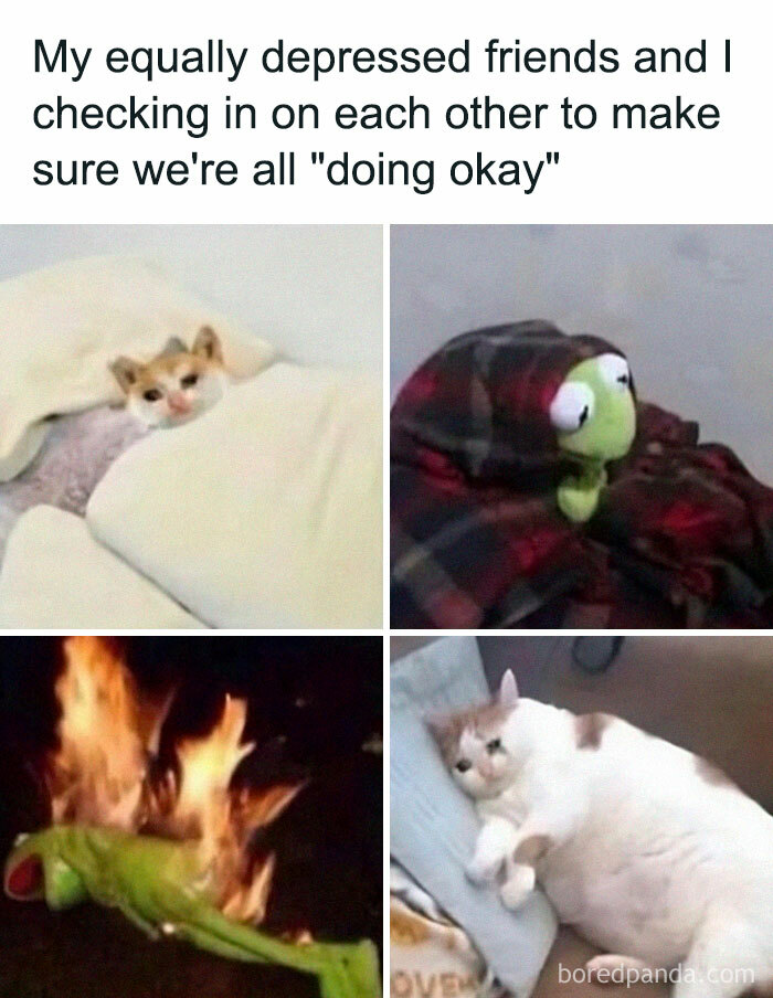 50 Memes You Might Find Painfully Relatable If You Could Use Some More Serotonin 50 Memes You Might Find Painfully Relatable If You Could Use Some More Serotonin