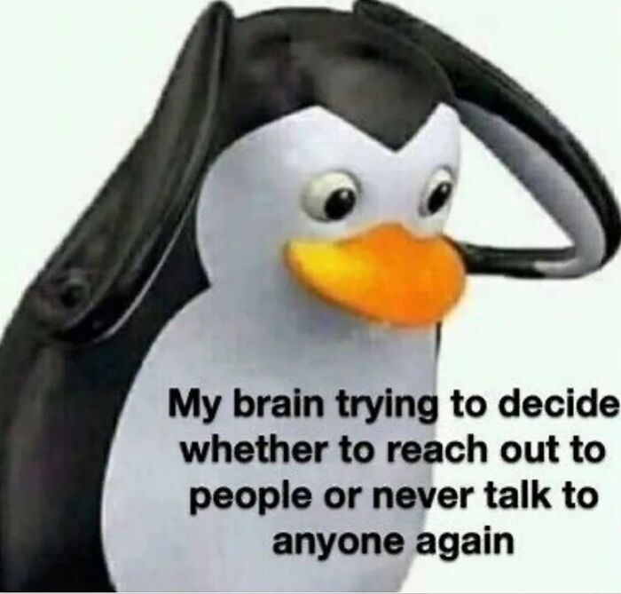 50 Memes You Might Find Painfully Relatable If You Could Use Some More Serotonin 50 Memes You Might Find Painfully Relatable If You Could Use Some More Serotonin