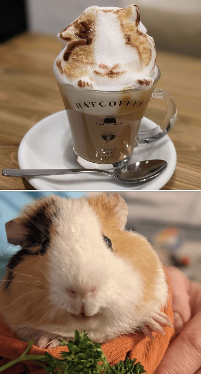 50 Times Latte Art Was So Impressive, It Looked Almost Too Good To Drink 50 Times Latte Art Was So Impressive, It Looked Almost Too Good To Drink