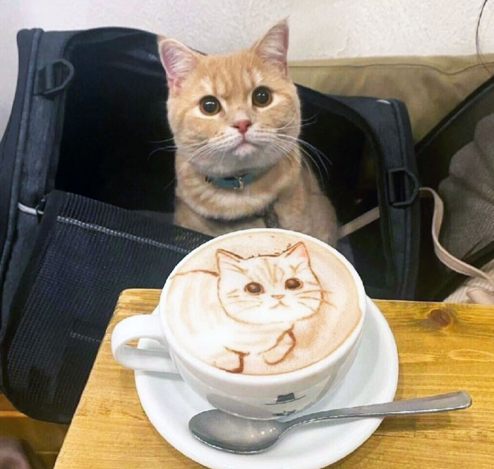 50 Times Latte Art Was So Impressive, It Looked Almost Too Good To Drink 50 Times Latte Art Was So Impressive, It Looked Almost Too Good To Drink